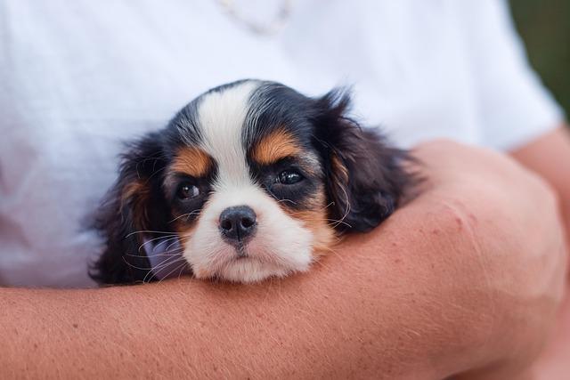 Rencontre avec les cavaliers : portraits et parcours inspirants