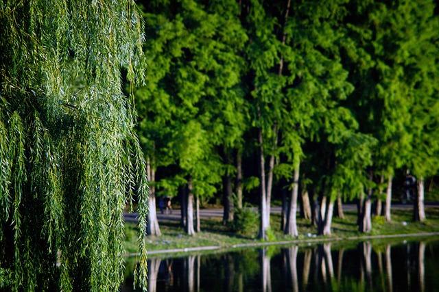 Lambiance au Roazhon Park : un facteur déterminant