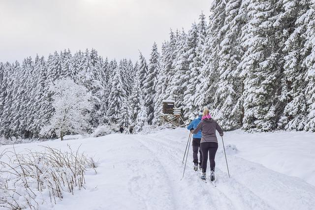 À la recherche de nouvelles stations de ski accessibles dans la région