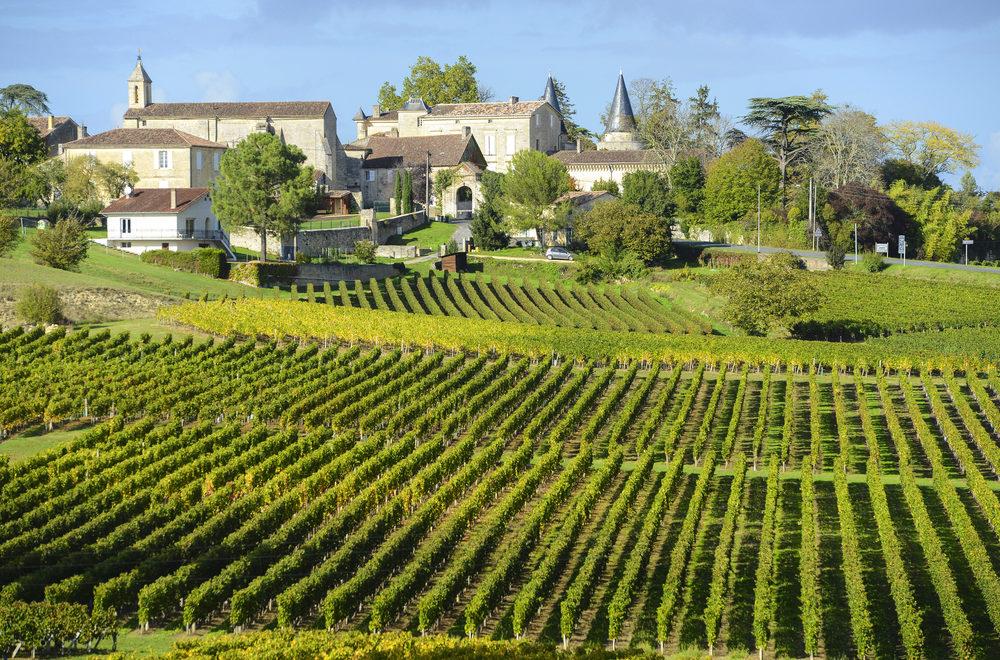 France: le vignoble de Bordeaux connaît sa plus faible récolte depuis 1991 - ici beyrouth