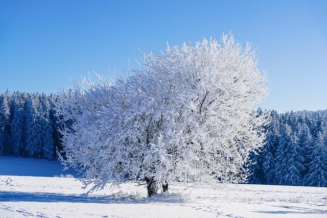 Activités recommandées : profiter de la douceur hivernale