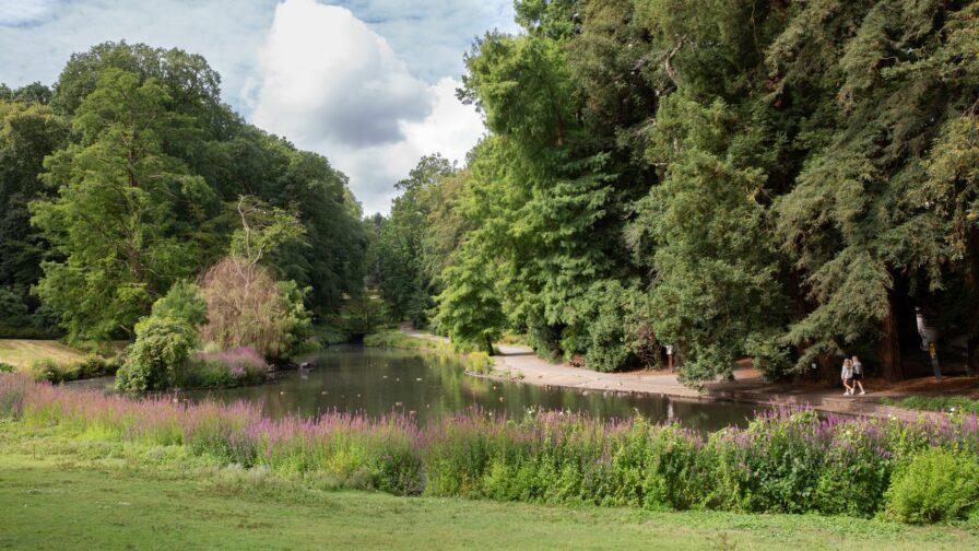 Le parcours enchanteur : découvrir la beauté des paysages entre Nantes et les Alpes