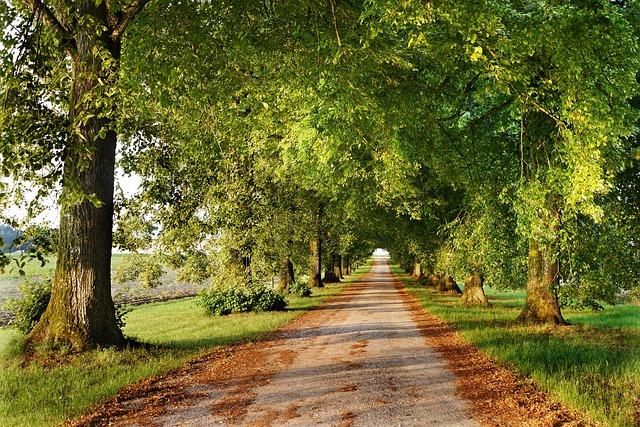 Promenades et découvertes en pleine nature en Île-de-France