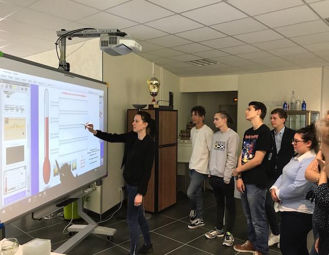 Ateliers interactifs : sensibilisation et action pour ‍la planète