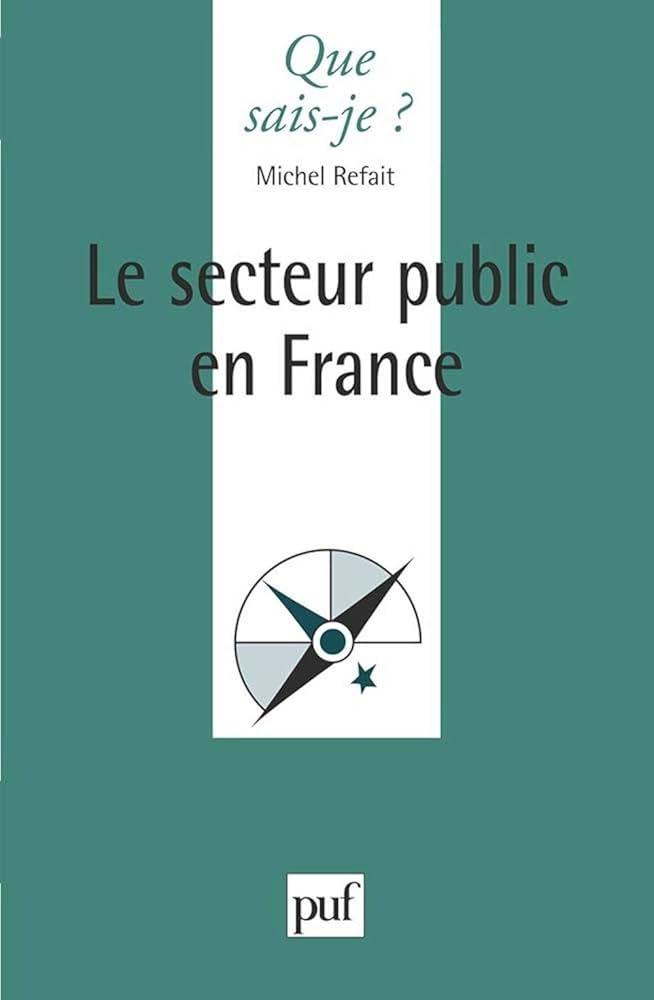 Rôle du secteur public dans le développement de l'IA