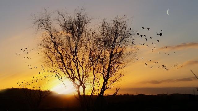 Soleil ‍et températures en hausse: le ⁤printemps arrive‌ en ⁣France - BFMTV