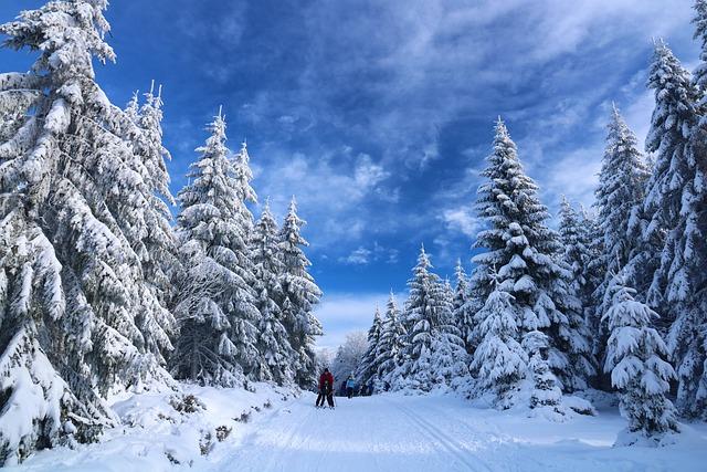 Découverte des pistes : un terrain de jeux à taille humaine pour skieurs novices et expérimentés