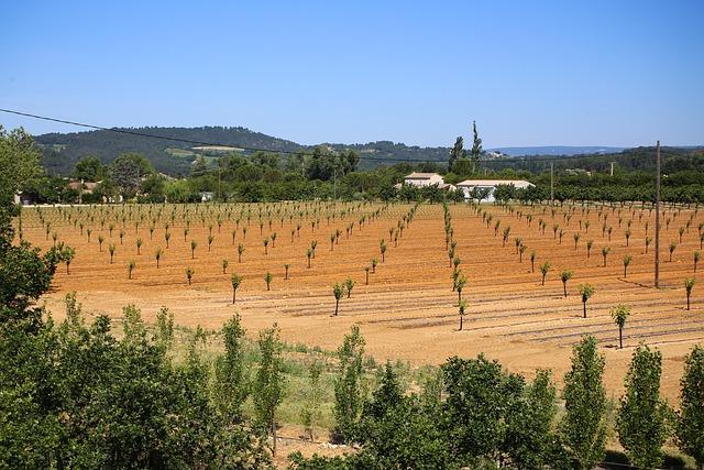 Rôle de la Haute Autorité de Santé dans la transformation du paysage sanitaire