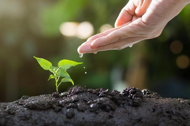 Les initiatives écologiques dans l'organisation des événements de course