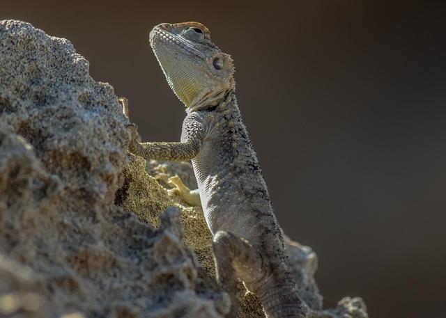 Les adaptations littéraires à ne pas manquer