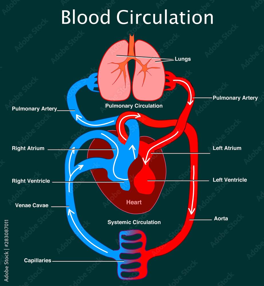 Impact sur ⁢la circulation : anticiper les conditions ⁤routières