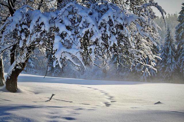 Les enjeux économiques et sociaux des Jeux d'hiver pour les Alpes françaises