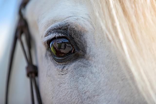 Le cheval métallique : une œuvre symbolique des JO de Paris 2024