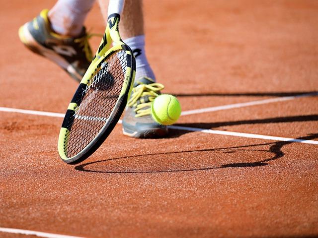 Lavenir du tennis de table :⁢ lémergence‌ des frères ⁢lebrun sur la scène ⁣nationale