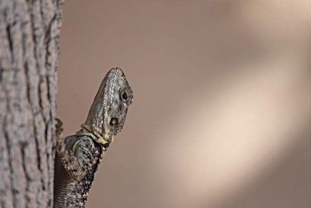 Limpact environnemental du trafic de pangolins : comprendre les enjeux de ⁢la biodiversité