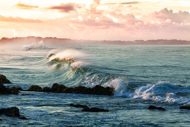 locéan comme patrimoine commun : protéger et valoriser la biodiversité maritime