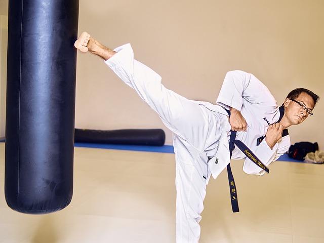 Perspectives d'avenir pour le Lo vent Taekwondo Villeneuvois