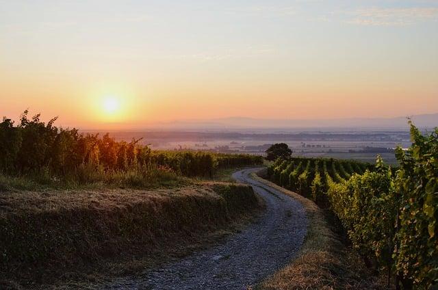 Découvrez Ici Alsace : Votre Essentiel pour la vie Locale