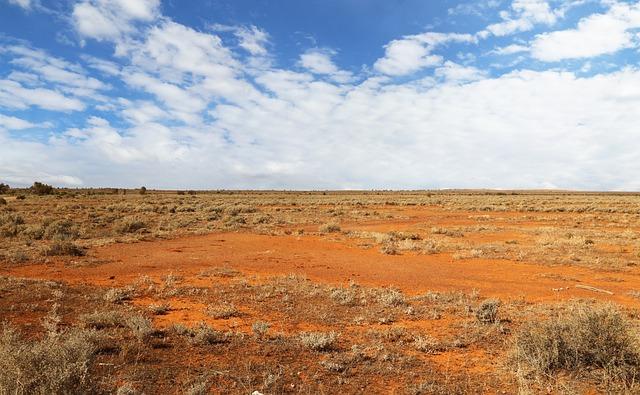 Espaces naturels et biodiversité : un patrimoine à préserver