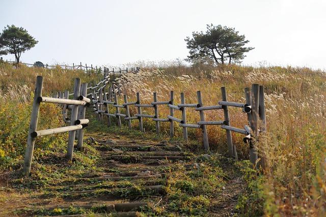 Limportance des passages piétons : sécuriser la traversée des plus vulnérables