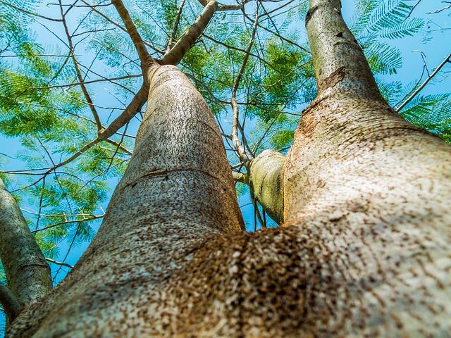 Perspectives futures : vers un climat plus imprévisible