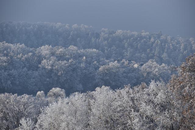 analyse des températures et des variations climatiques du jour