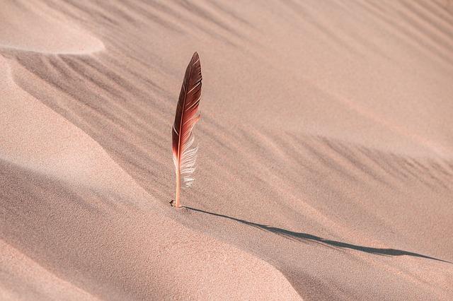 Les enjeux de production et le futur de Denis Villeneuve dans l'adaptation de Dune