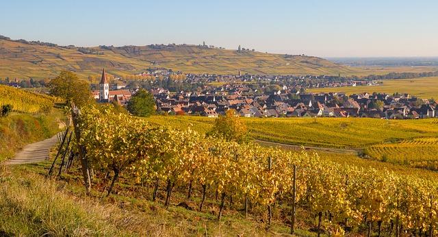 Alsace : un climat ensoleillé propice aux découvertes