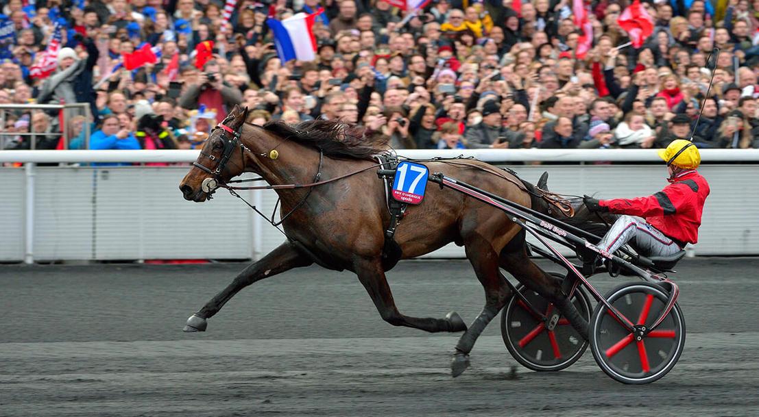 Recommandations pour renforcer lattractivité des courses françaises