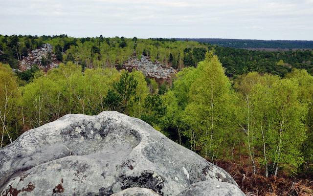 Les joyaux cachés : les forêts d’Île-de-France à découvrir