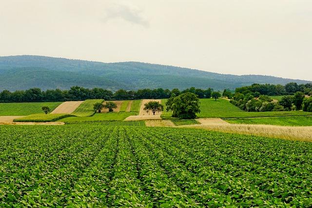 Rencontre avec les Acteurs de lAgriculture Locale