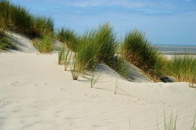 Rencontres avec les producteurs : histoires et passions au cœur des Hauts-de-France