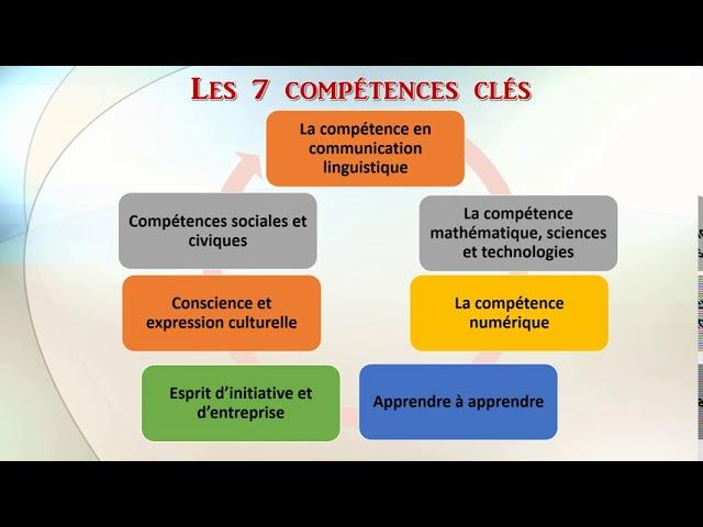 Compétences clés pour réussir dans le secteur de la vente au détail d'animaux