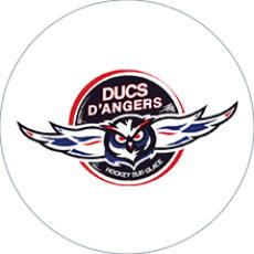 Le parcours⁣ des ducs d'Angers ‍vers la finale de la ⁤coupe de France