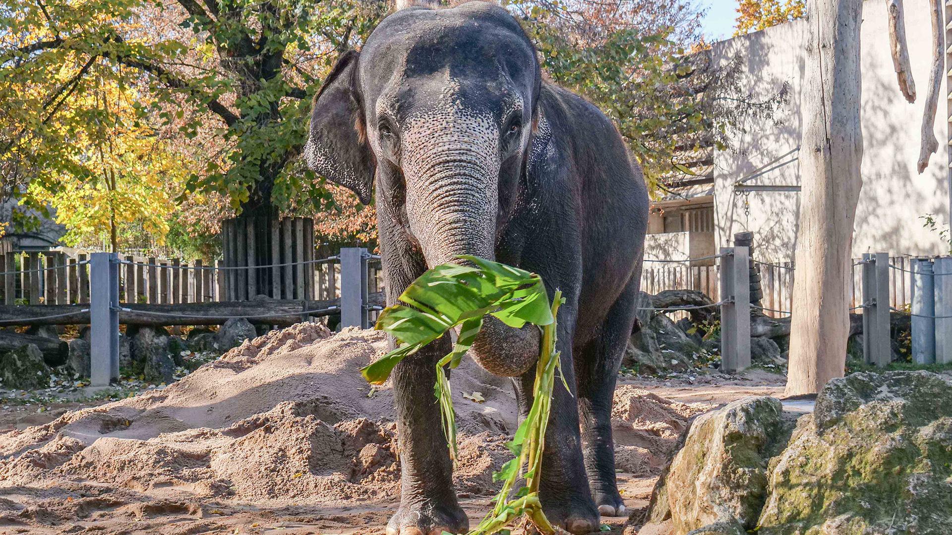 Le rôle éducatif des zoos : sensibiliser le public à la conservation