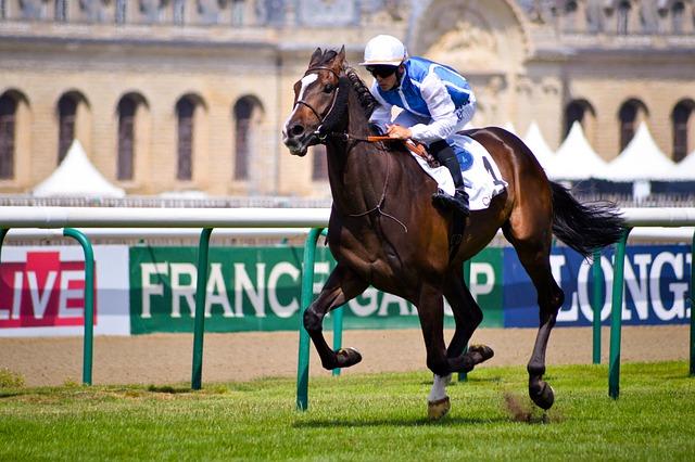 Les protagonistes du succès : témoignages ‌des joueurs de Victoire de Châteaubriant