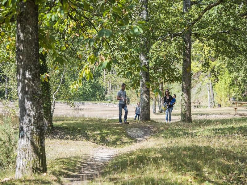 Conseils pratiques pour une excursion réussie en forêt