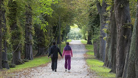 Engagement écologique : préserver les forêts tout en les explorant