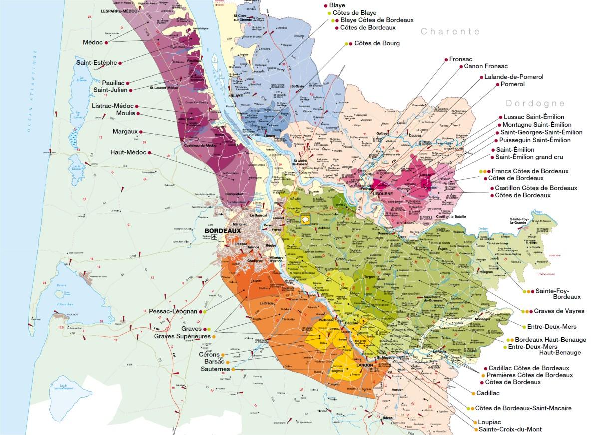 L'impact climatique sur le vignoble bordelais et ses conséquences économiques