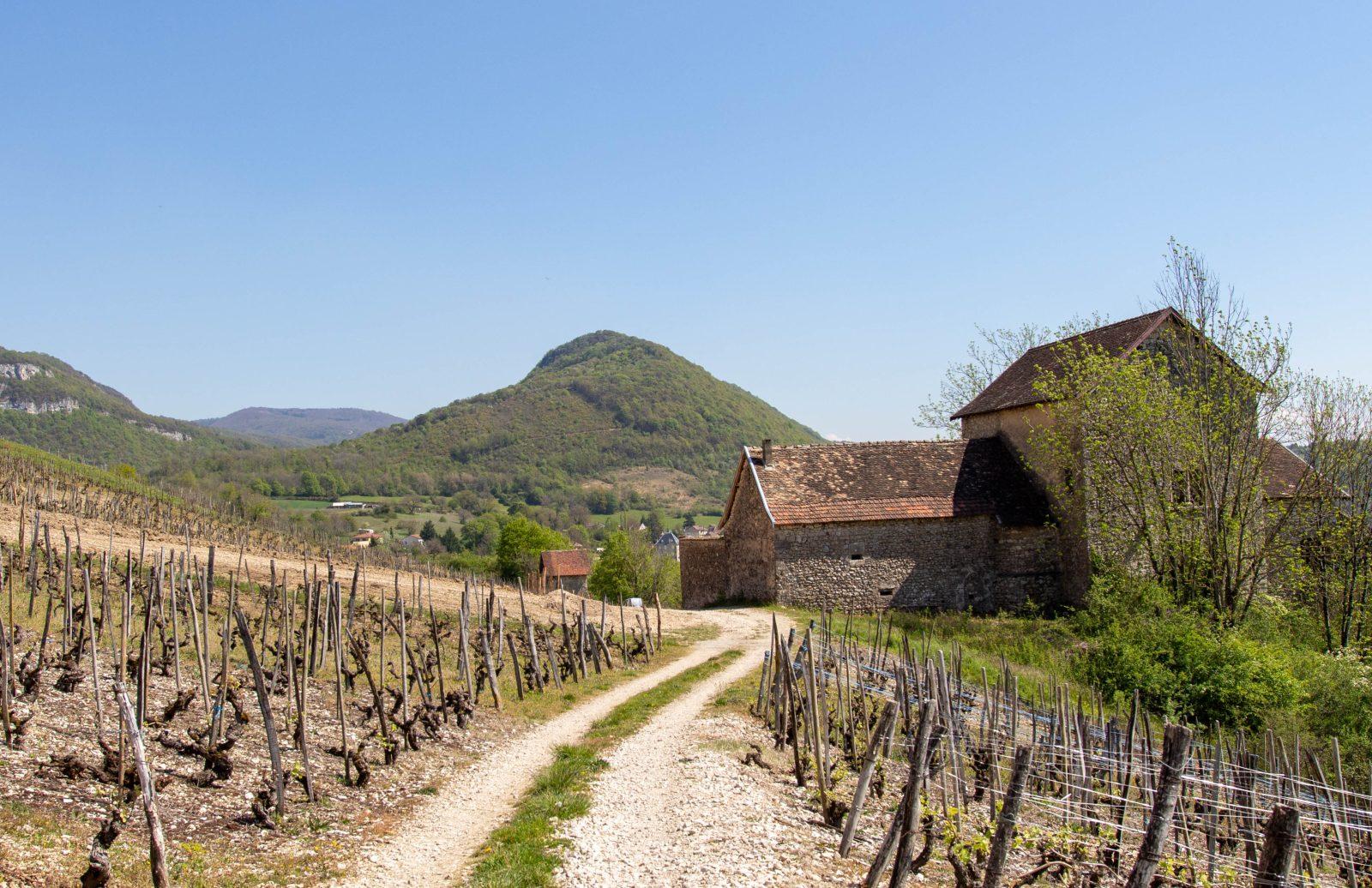 La rue de Briord : un patrimoine méconnu à valoriser