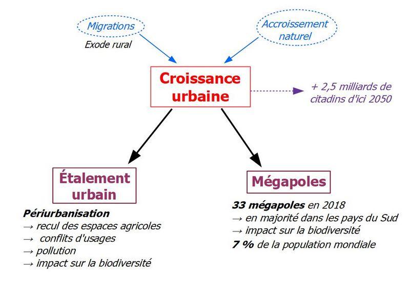 Les investissements clés pour soutenir la croissance urbaine