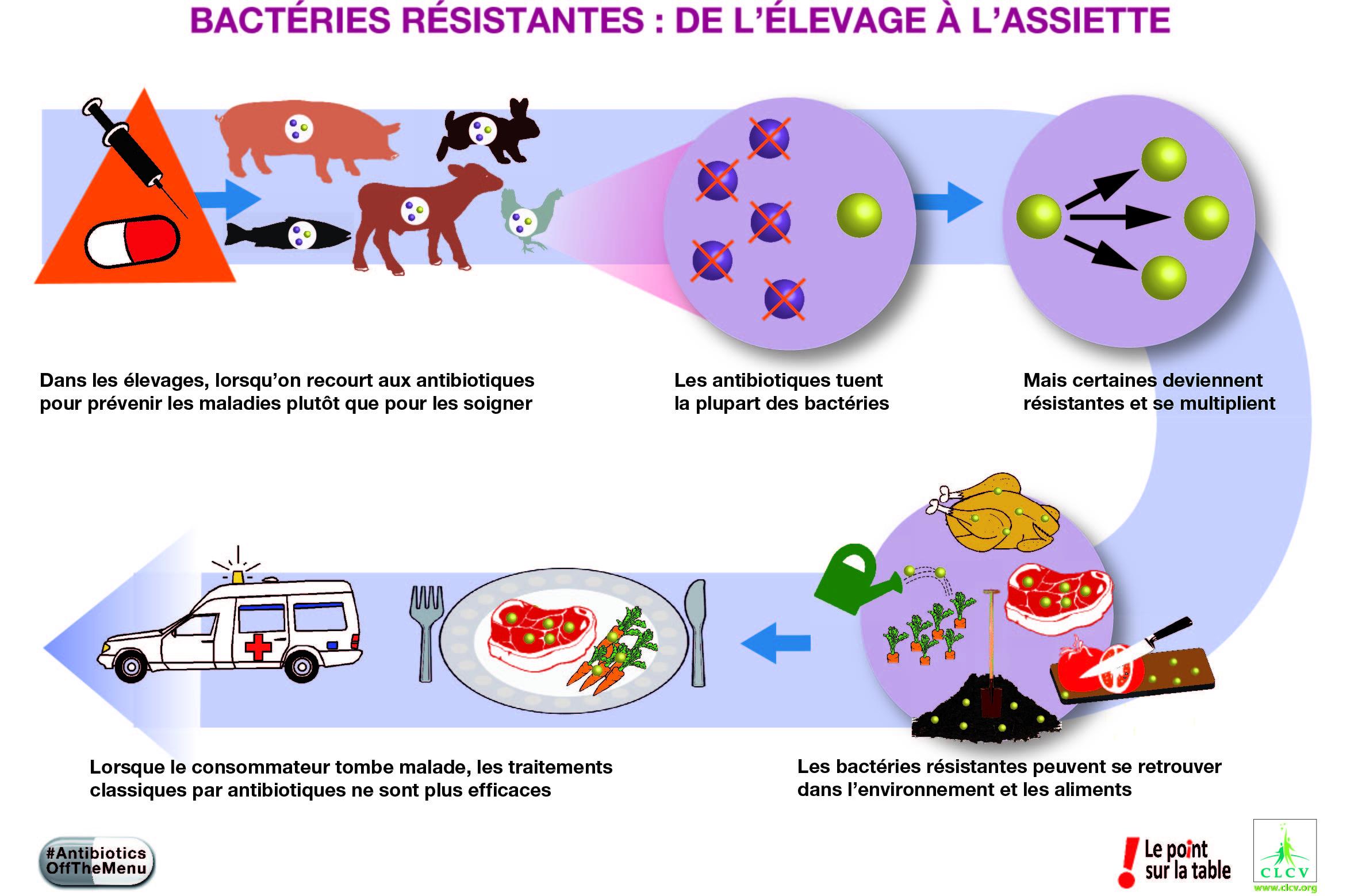 Les implications cliniques de la résistance aux antibiotiques