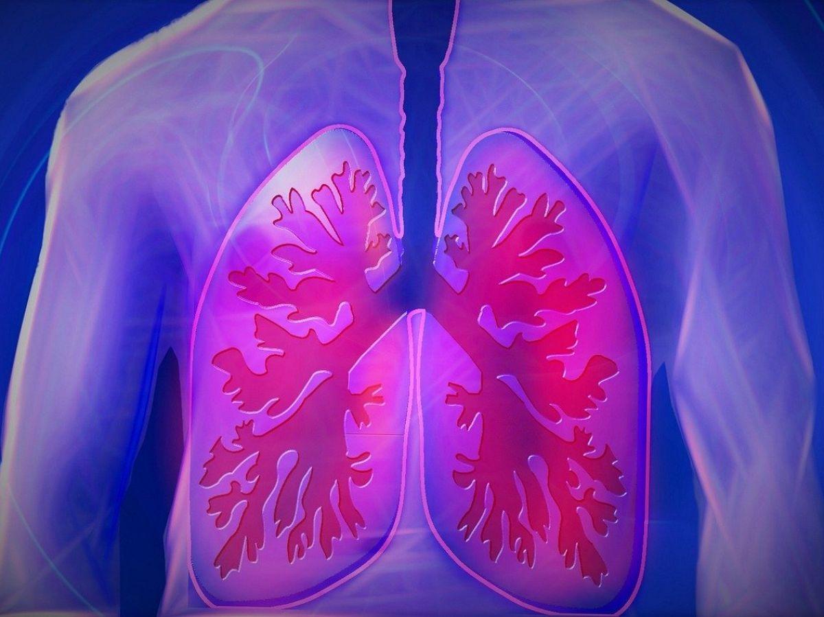 Les rôles méconnus du microbiome dans la fonction pulmonaire