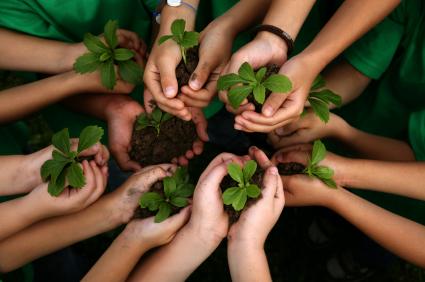 Répercussions sur la communauté locale : Un élan de solidarité et de résilience