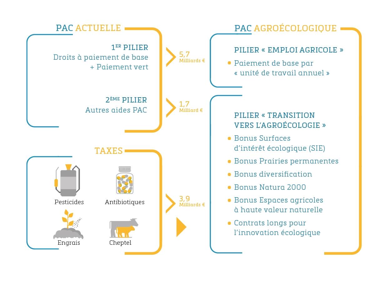 Vers ⁤une stratégie agricole commune : enjeux ‌et perspectives