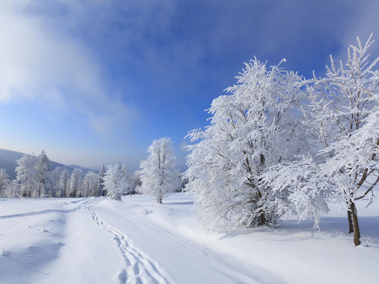 Activités hivernales incontournables à découvrir en Sarthe