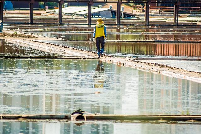 Mesures écologiques à adopter en période de forte pluie pour préserver notre environnement