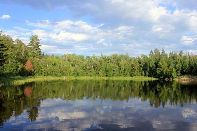 Réactions des voyageurs : témoignages et préoccupations face à la situation