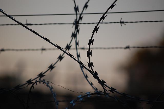 Vers des solutions durables : pistes pour désengorger les prisons françaises