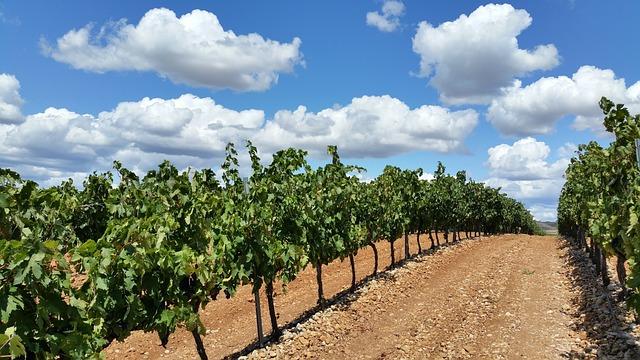 Les Balades dans la Nature : Itinéraires à Découvrir en Île-de-France